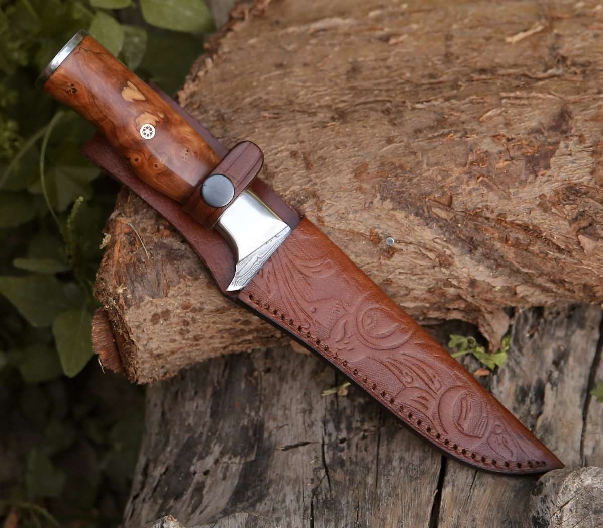 Fillet knife - Concord Damascus Fillet Knife with Exotic Olive wood Handle - Shokunin USA