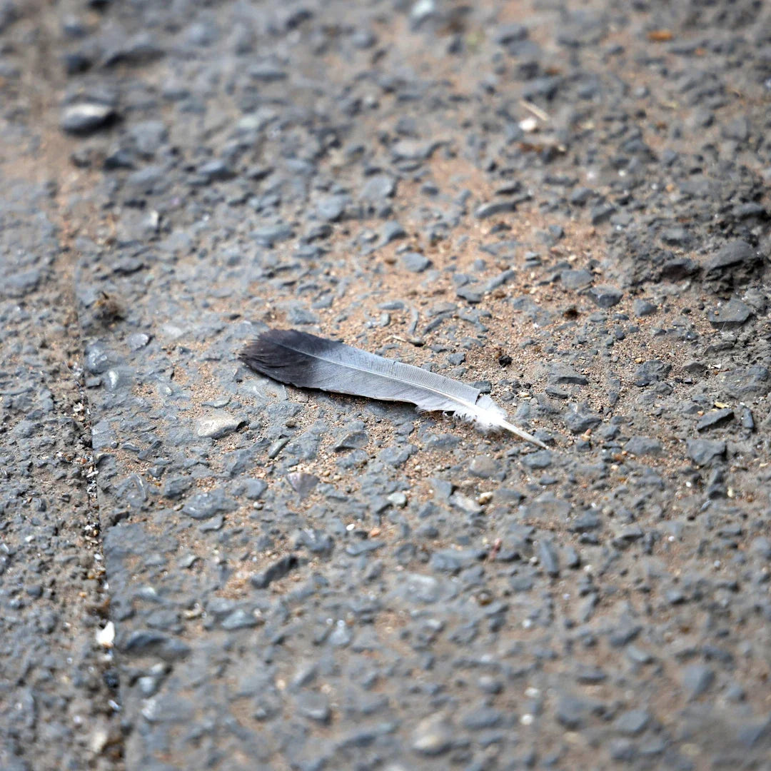 Discovering the Uniqueness of Pocket Knife Brands - Shokunin USA