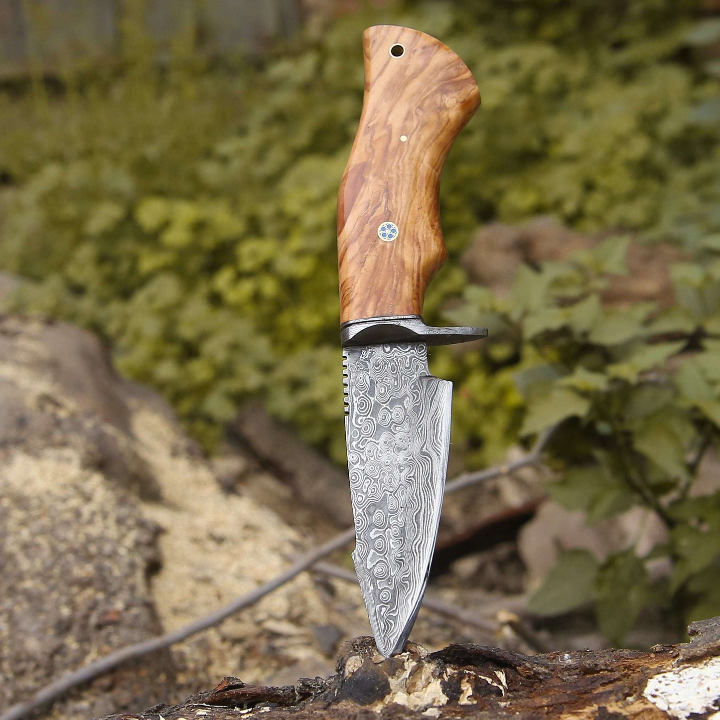 Custom Hunting Knife - Outrider Damascus Custom Hunting Knife with Exotic Olive Wood Handle - Shokunin USA