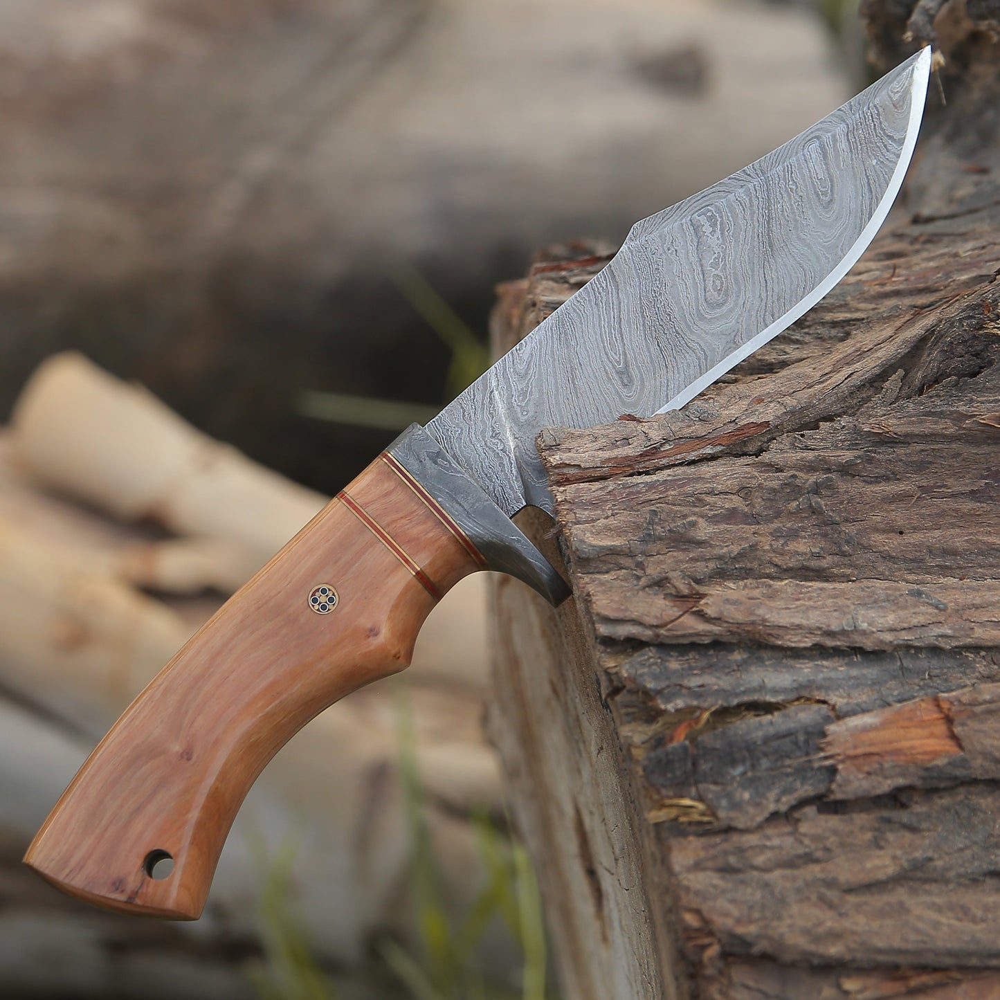 Avatar Damascus Hunting Knife with Exotic Olive Wood Handle - Shokunin USA