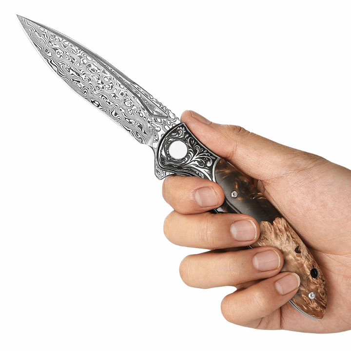 Pocket Knife - Demeter VG10 Damascus Pocket Knife with Exotic Olive Burl &amp; Resin Handle - Shokunin USA