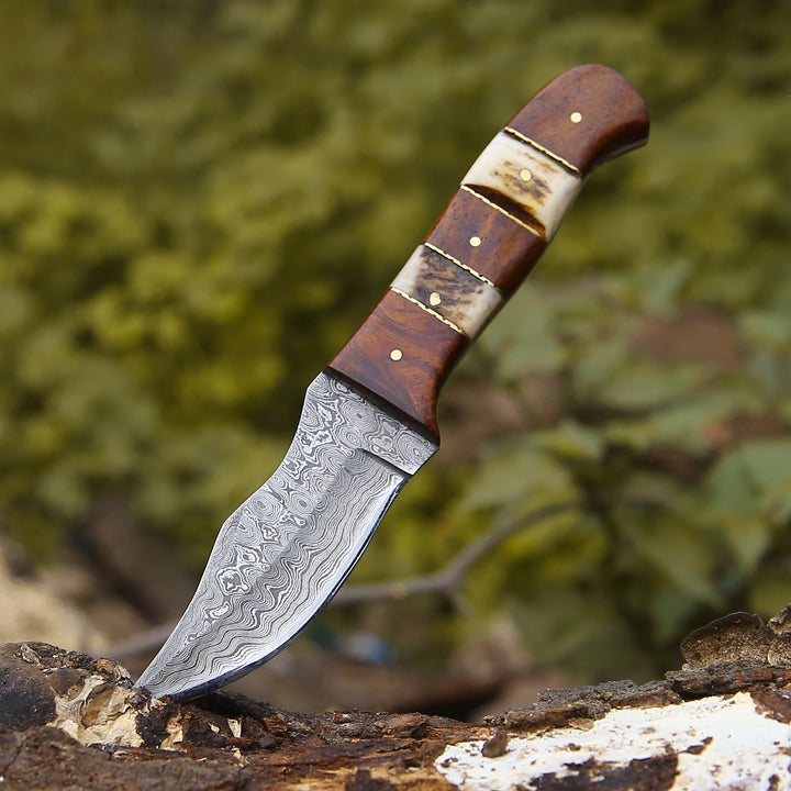 Mangler Damascus Hunting Knife with Rose Wood &amp; Stag Horn Handle - Shokunin USA