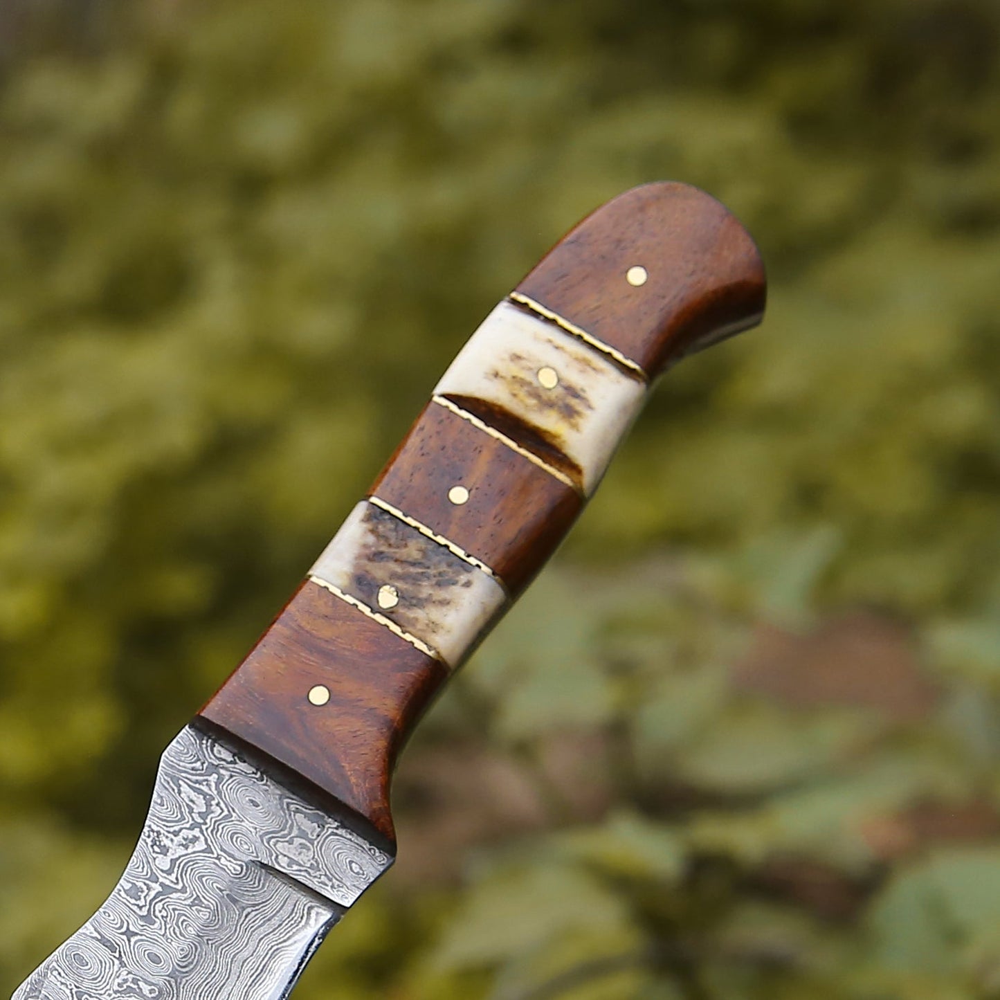 Utility Knife - Mangler Damascus Hunting Knife with Rose Wood & Stag Horn Handle - Shokunin USA
