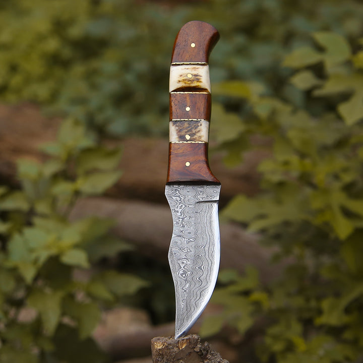 Mangler Damascus Hunting Knife with Rose Wood &amp; Stag Horn Handle - Shokunin USA