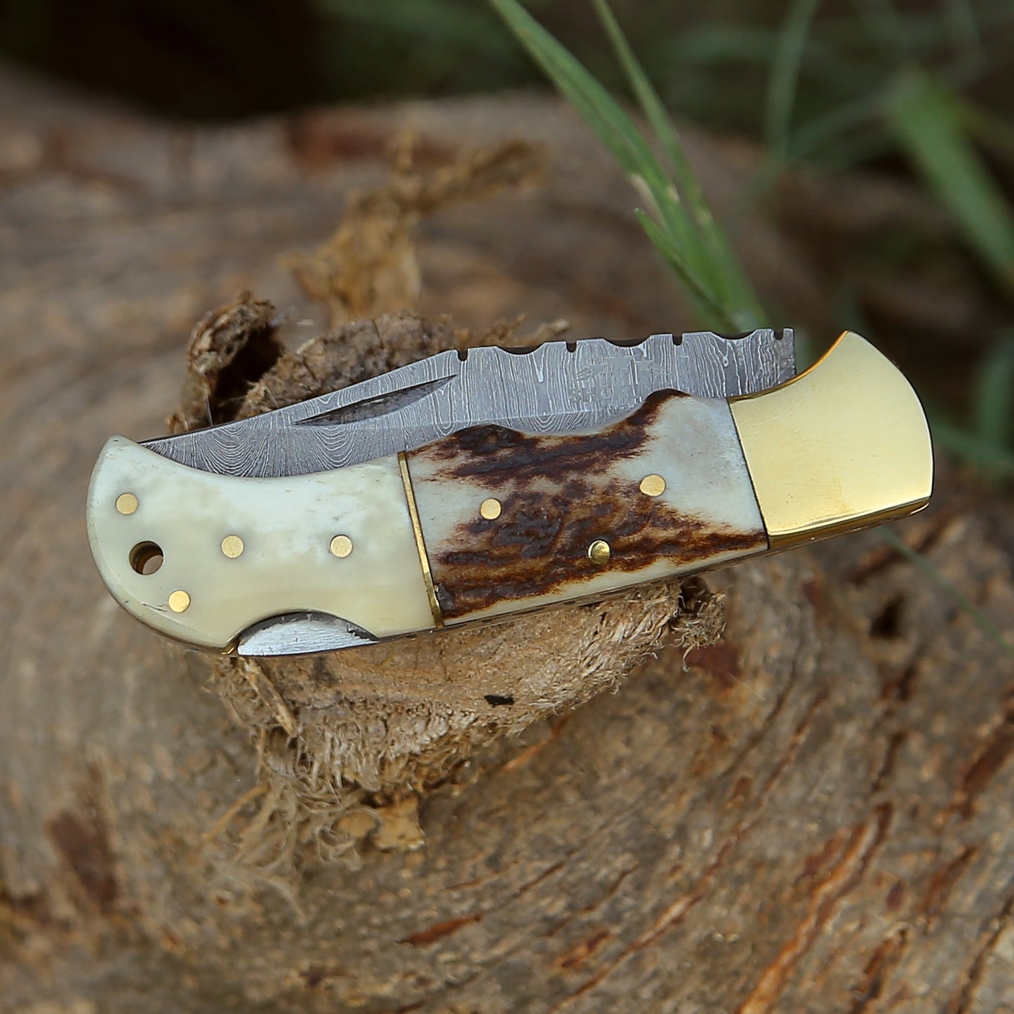 Pocket Knife - Antler Edge Damascus Pocket Knife with Staghorn & Bone Handle - Shokunin USA