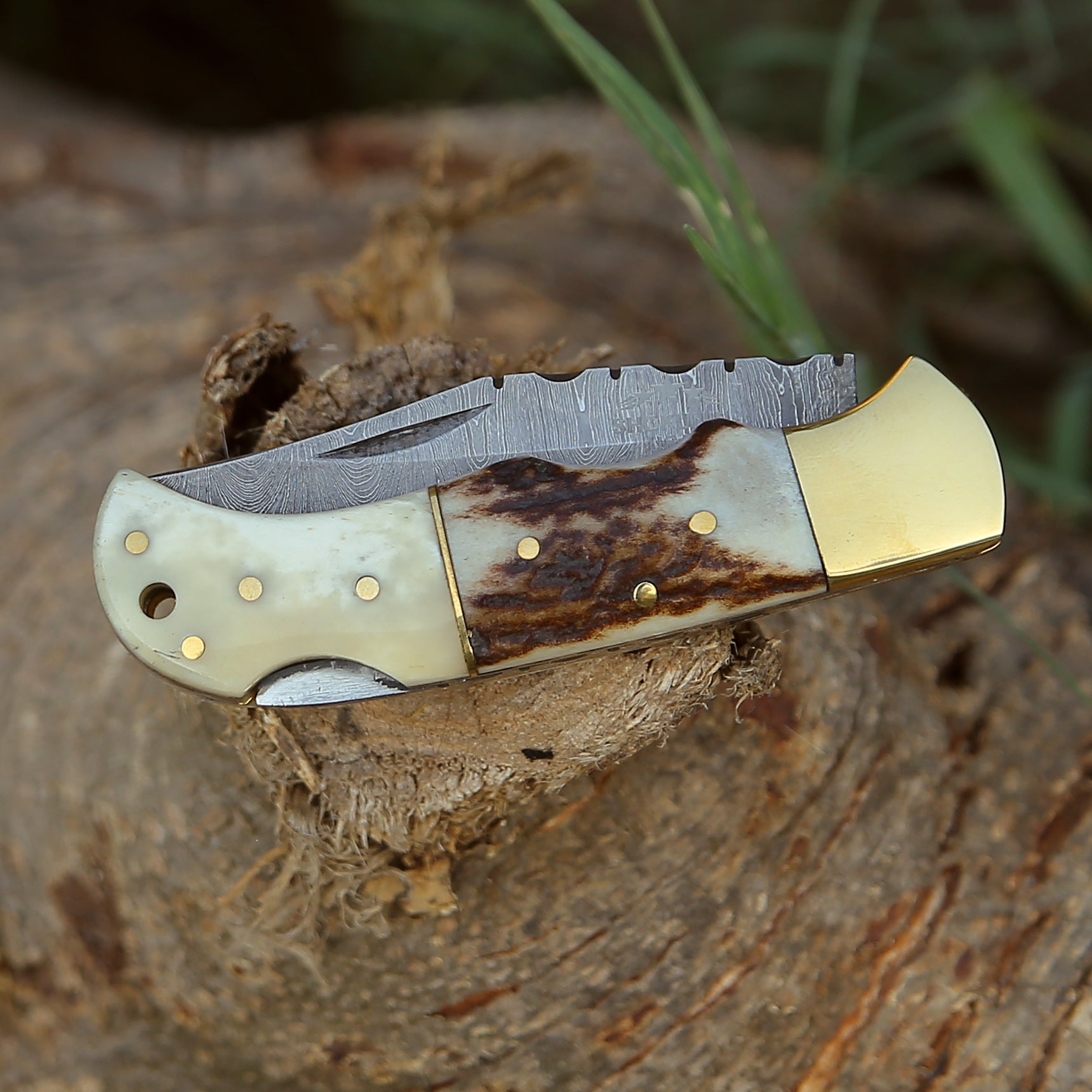 Pocket Knife - Antler Edge Damascus Pocket Knife with Staghorn & Bone Handle - Shokunin USA