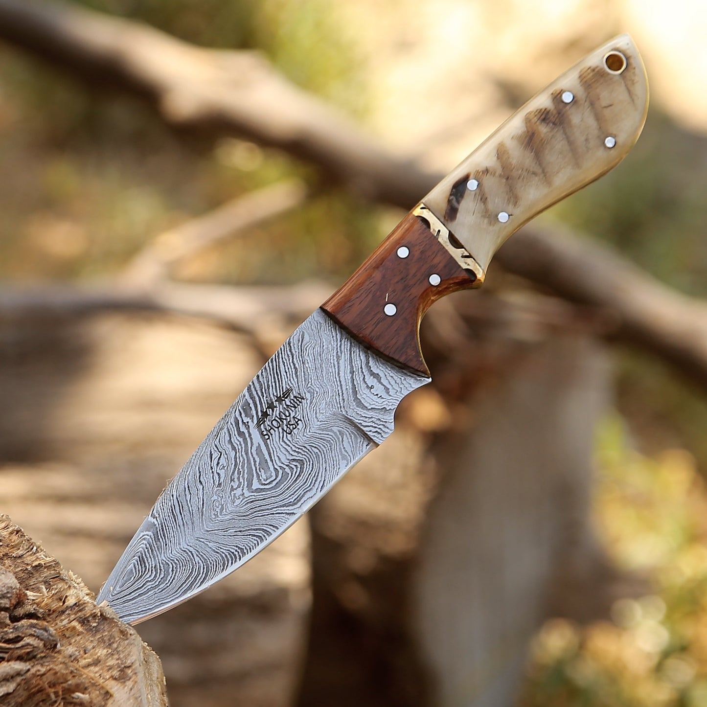 Damascus Knife - Starlight Damascus Hunting Knife with Exotic Rosewood & Ram Horn Handle - Shokunin USA
