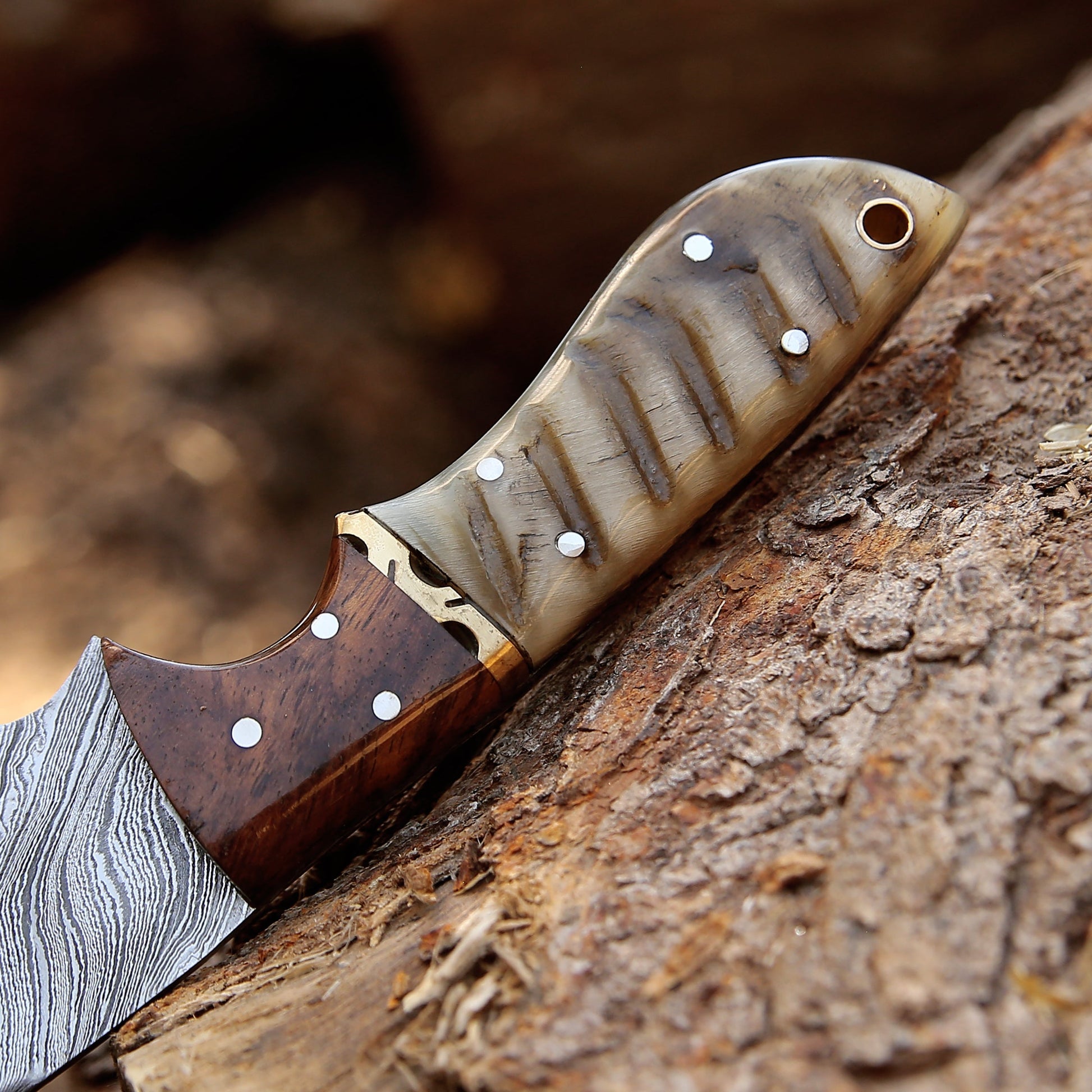 Damascus Knife - Starlight Damascus Hunting Knife with Exotic Rosewood & Ram Horn Handle - Shokunin USA