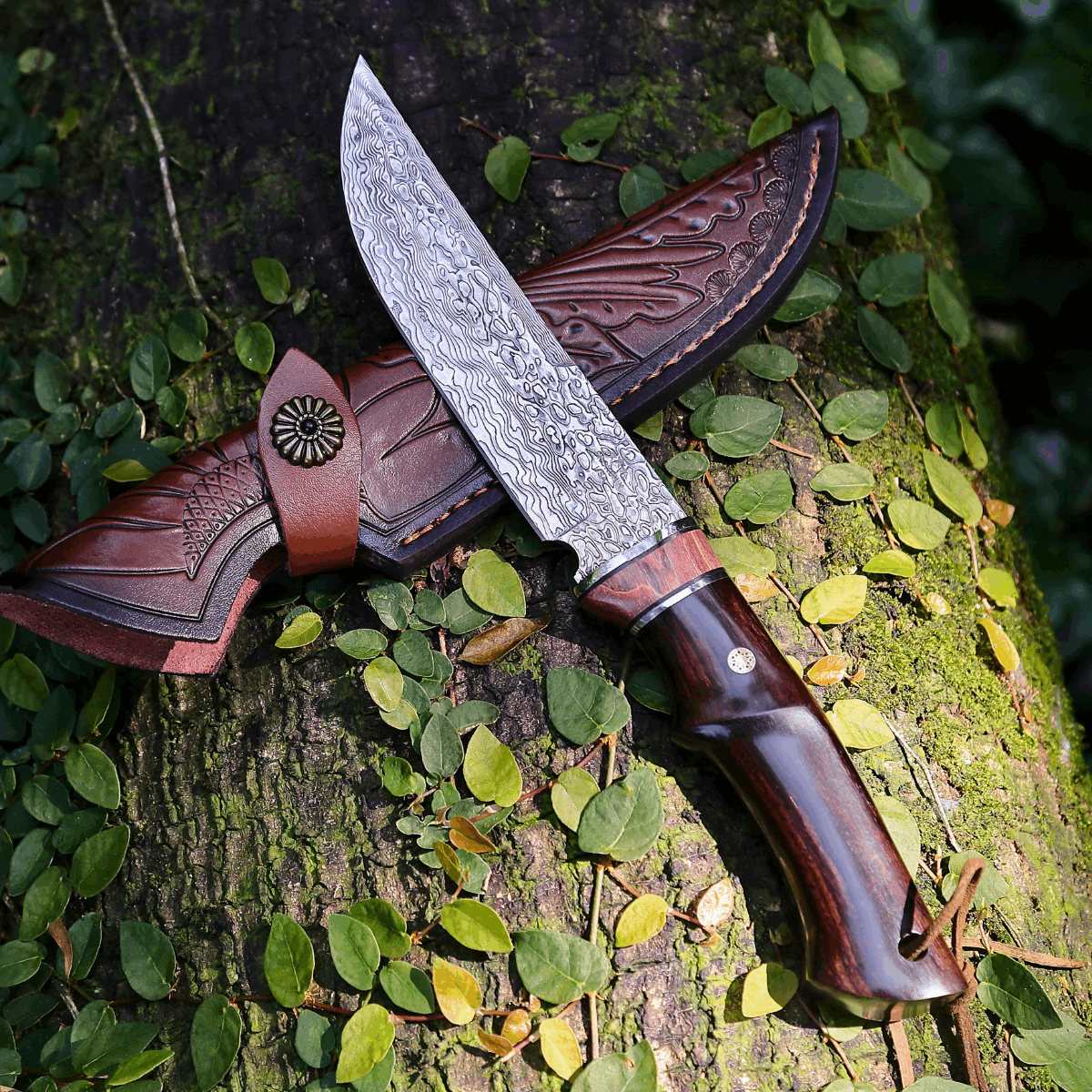 Damascus knife - Dethroner Japanese Hunting Knife with VG-10 Damacus Blade and Ebony Wood Handle - Shokunin USA