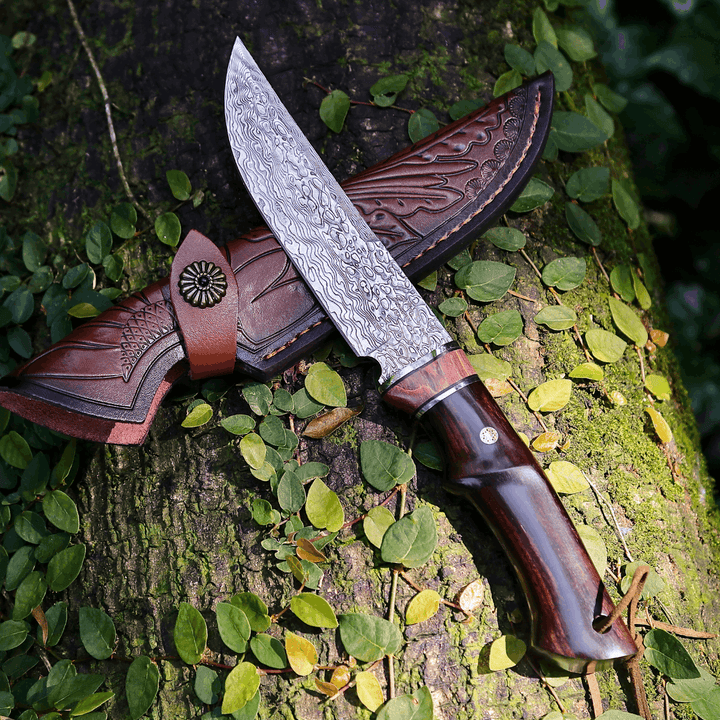 Damascus knife - Terminator Japanese Hunting Knife with VG-10 Damacus Blade and Ebony Wood Handle - Shokunin USA