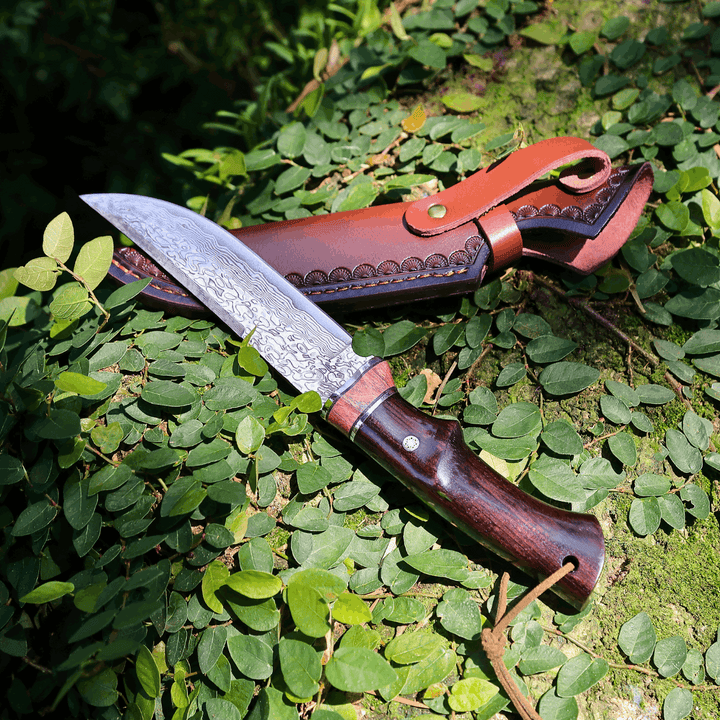 Damascus knife - Terminator Japanese Hunting Knife with VG-10 Damacus Blade and Ebony Wood Handle - Shokunin USA