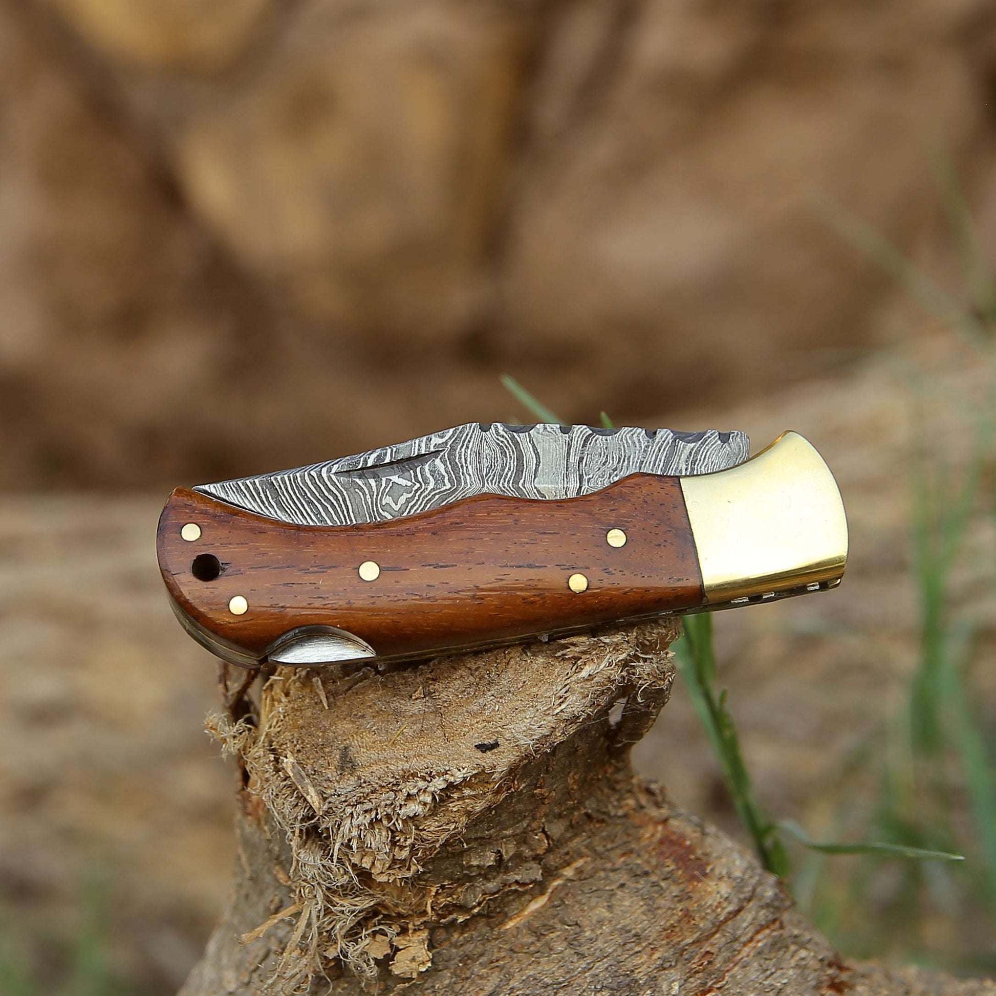 Pocket Knife - Jaguar Pocket Knife with Exotic Rosewood Handle - Shokunin USA