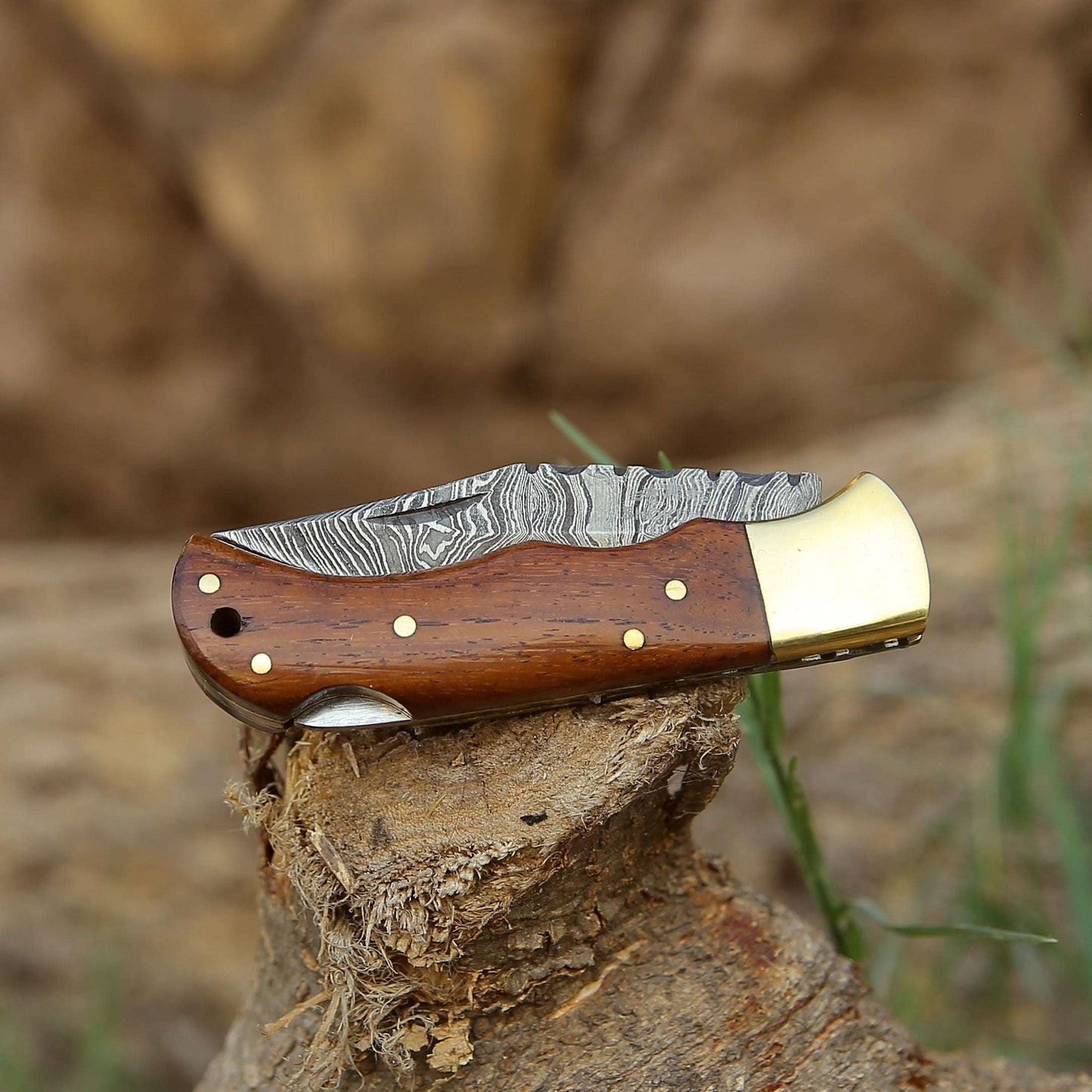 Pocket Knife - Jaguar Pocket Knife with Exotic Rosewood Handle - Shokunin USA