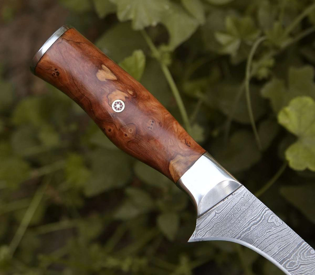 Concord Damascus Fillet Knife with Exotic Olive wood Handle - Shokunin USA