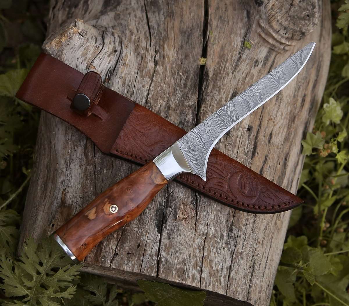 Fillet knife - Concord Damascus Fillet Knife with Exotic Olive wood Handle - Shokunin USA