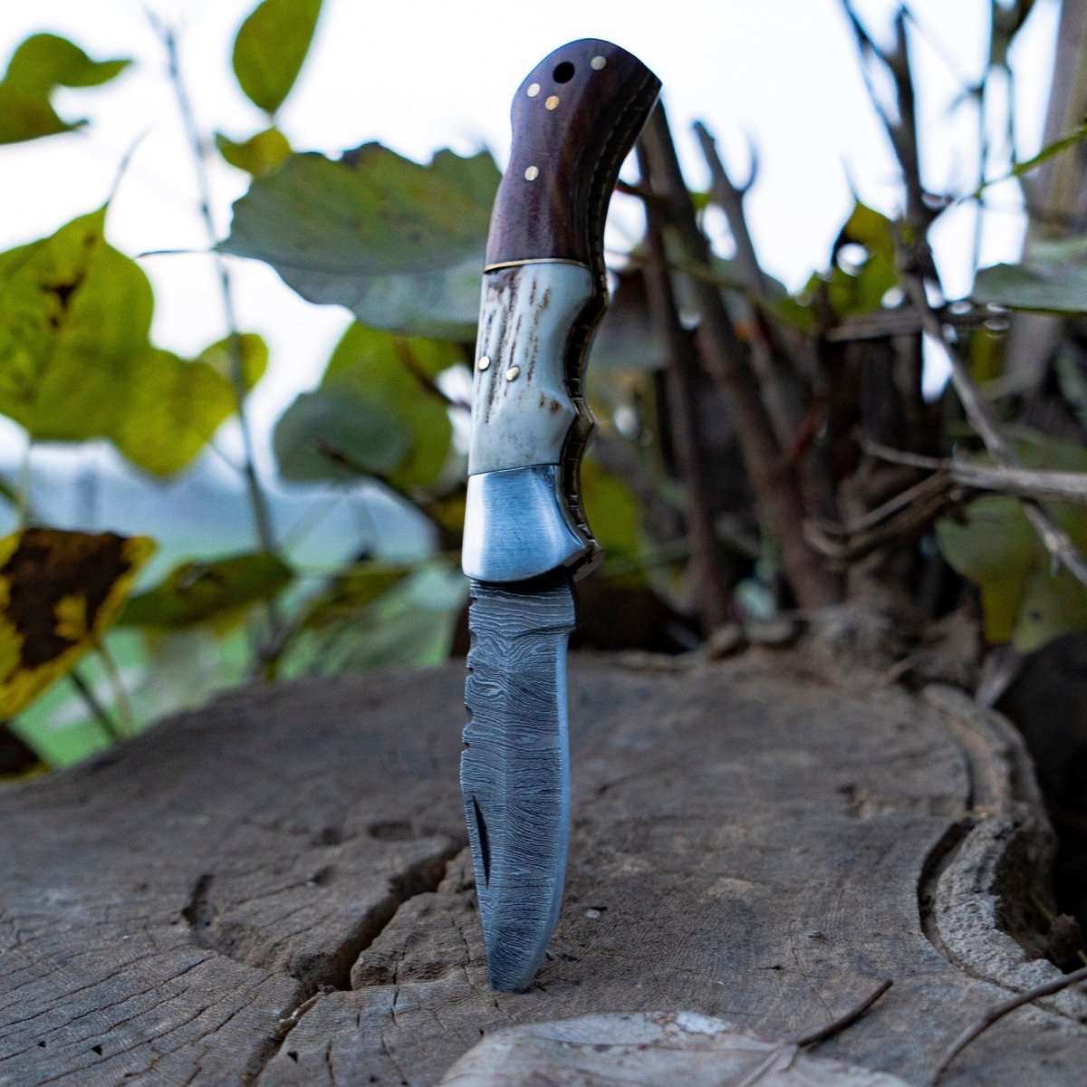 Utility Knife - Echo Damascus Pocket Knife with Stag Horn/Antler & Rosewood Handle - Shokunin USA