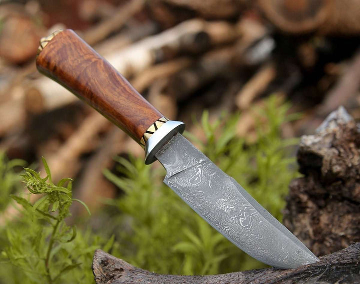Holy Defender Damascus Hunting Knife with Exotic Rose Wood Handle - Shokunin USA