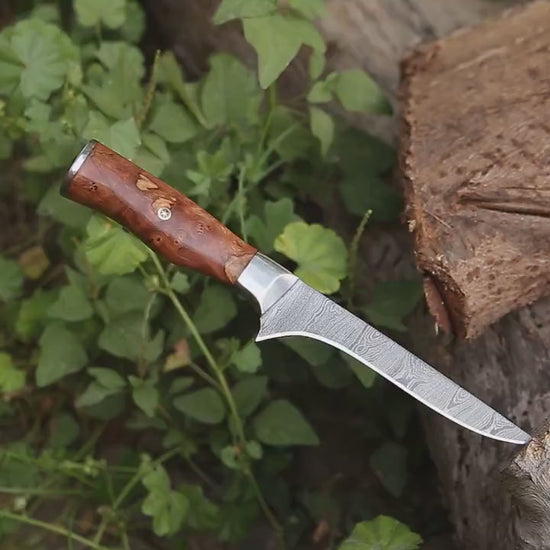 SHOKUNIN USA - Fishing Knive - fillet Knifves - Custom Knive Exotic Olive Wood Personalized Boning Knive for Fillet board Gift for Fisherman