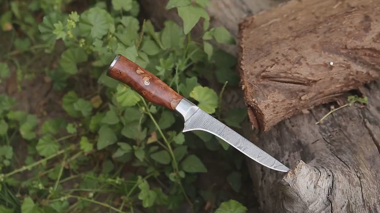 SHOKUNIN USA - Fishing Knive - fillet Knifves - Custom Knive Exotic Olive Wood Personalized Boning Knive for Fillet board Gift for Fisherman