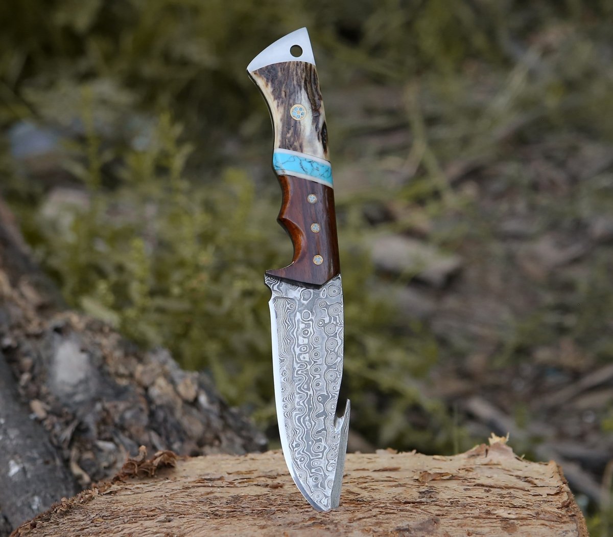 Damascus Knife - Thunder Damascus Gut Hook Knife with Stag Horn, Wenge Wood & Turquoise Handle - Shokunin USA