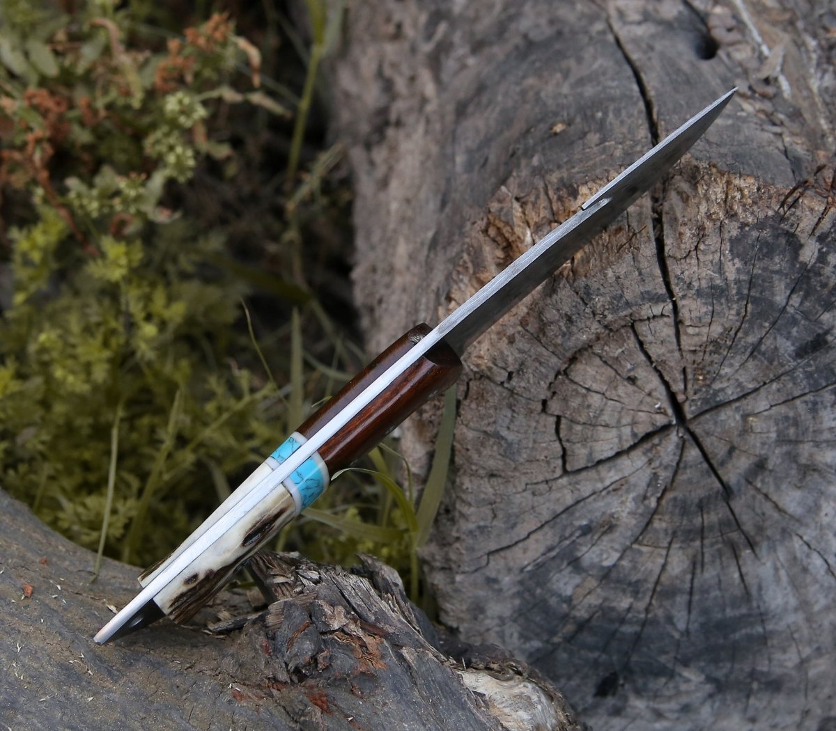 Damascus Knife - Thunder Damascus Gut Hook Knife with Stag Horn, Wenge Wood & Turquoise Handle - Shokunin USA