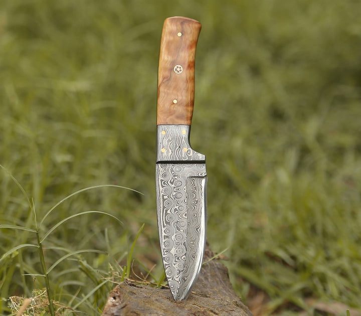 Quantum Camp Knife with Olive Wood Handle - Shokunin USA