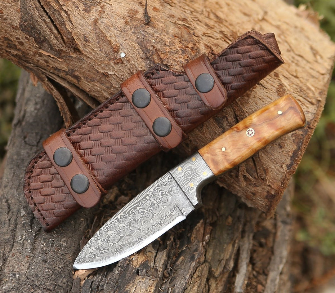 Quantum Camp Knife with Olive Wood Handle - Shokunin USA