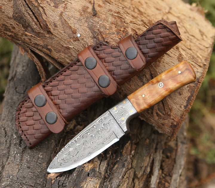 Quantum Camp Knife with Olive Wood Handle - Shokunin USA