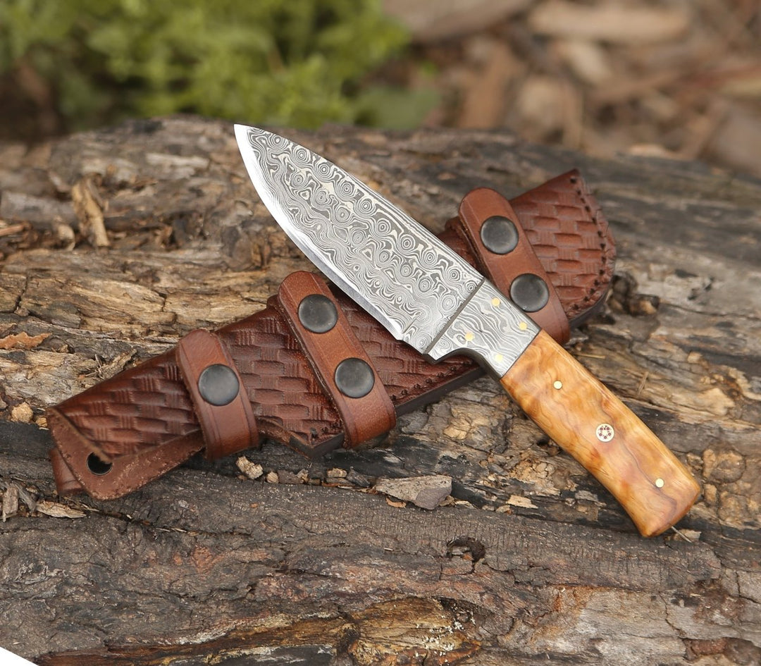 Quantum Camp Knife with Olive Wood Handle - Shokunin USA