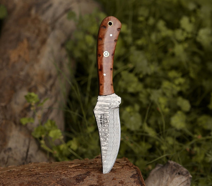 handcrafted hunting knife with olive wood handle - Spectral Field Dressing Knife with Olive Wood Handle - Shokunin USA