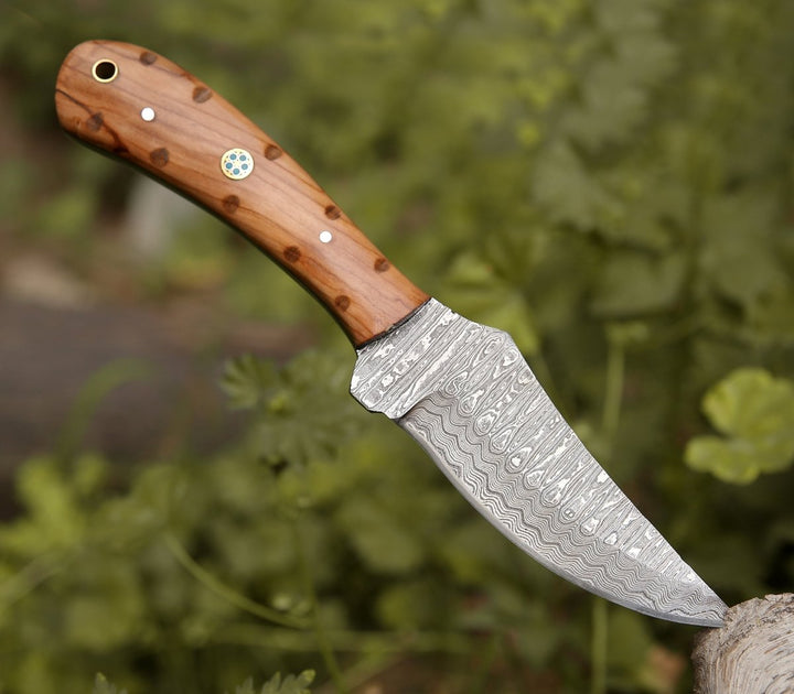 handmade hunting knife with olive wood handle - Spectral Field Dressing Knife with Olive Wood Handle - Shokunin USA