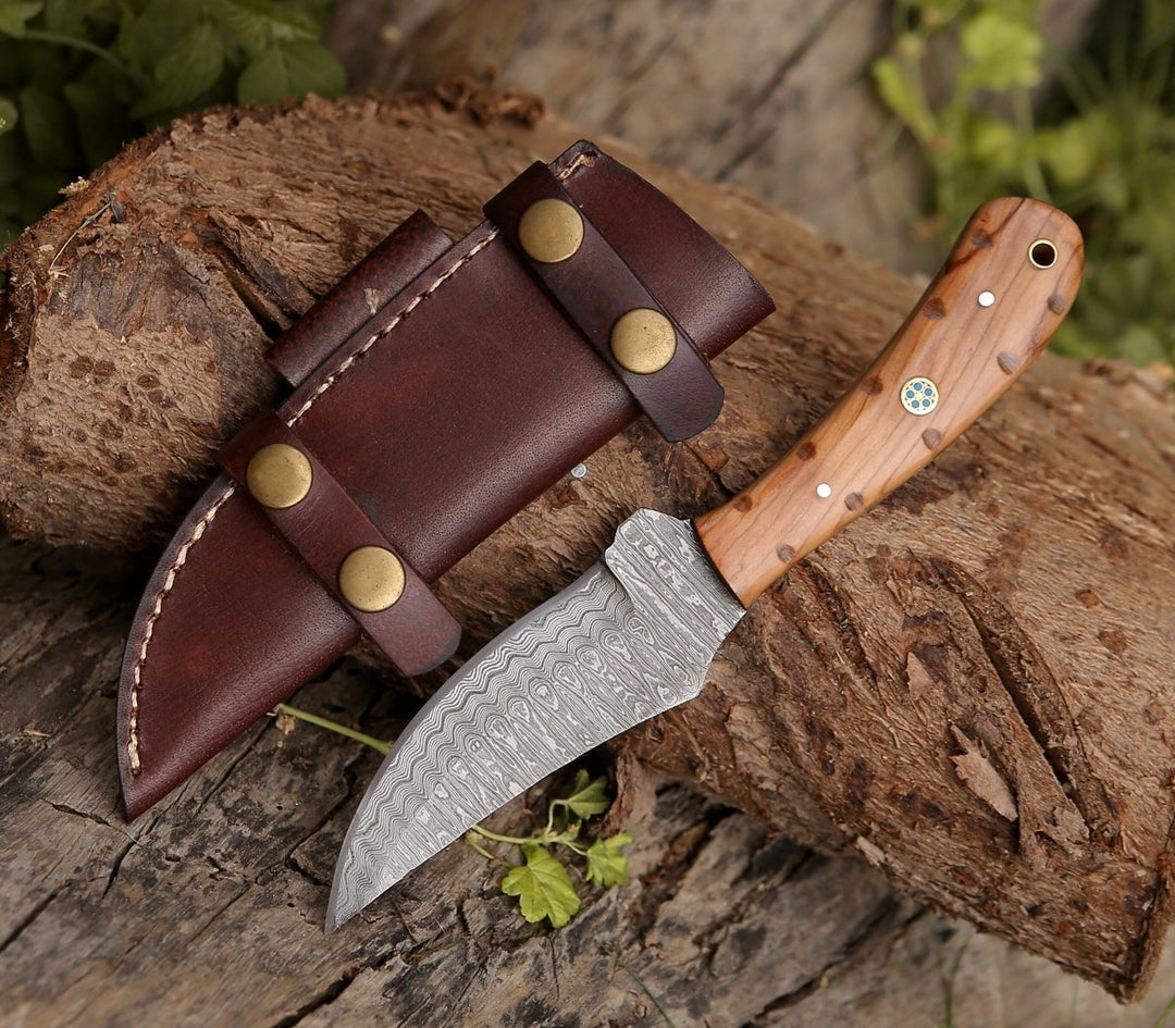 4.5 inch hunting knife with olive wood handle - Spectral Field Dressing Knife with Olive Wood Handle - Shokunin USA