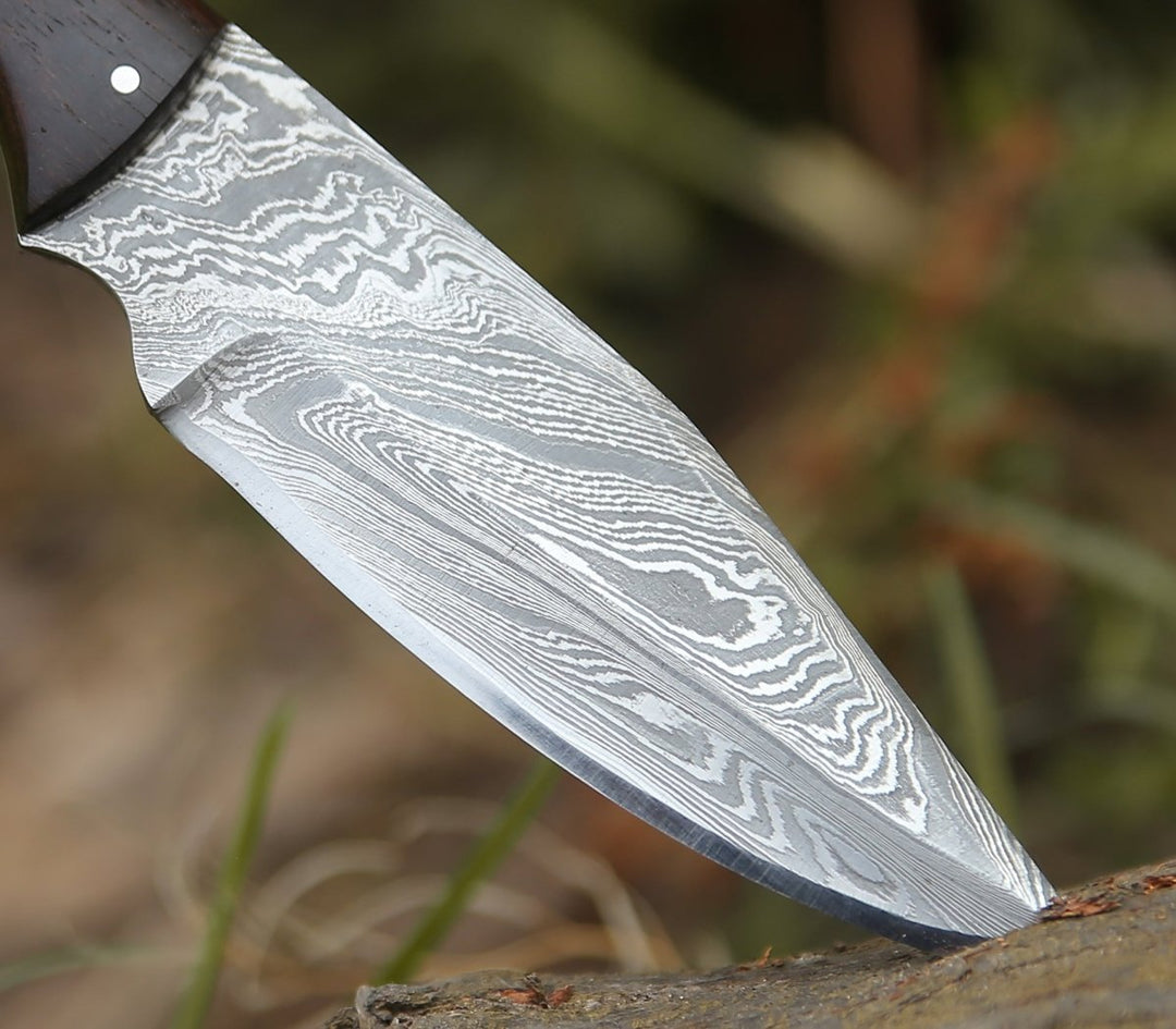 Trailseeker Every Day Carry Knife with Ram Horn &amp; Rosewood Handle - Shokunin USA