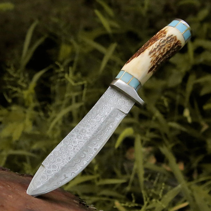 Viral Bull Nose Hunting Knife with Antler &amp; Turquoise Handle - Shokunin USA