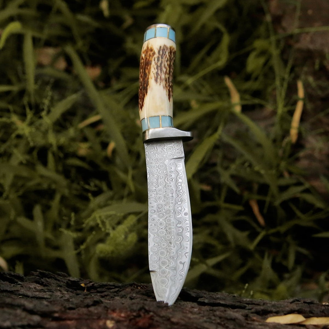 Viral Bull Nose Hunting Knife with Antler &amp; Turquoise Handle - Shokunin USA