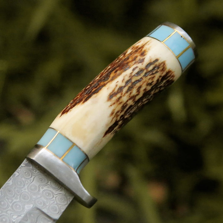 Viral Bull Nose Hunting Knife with Antler &amp; Turquoise Handle - Shokunin USA