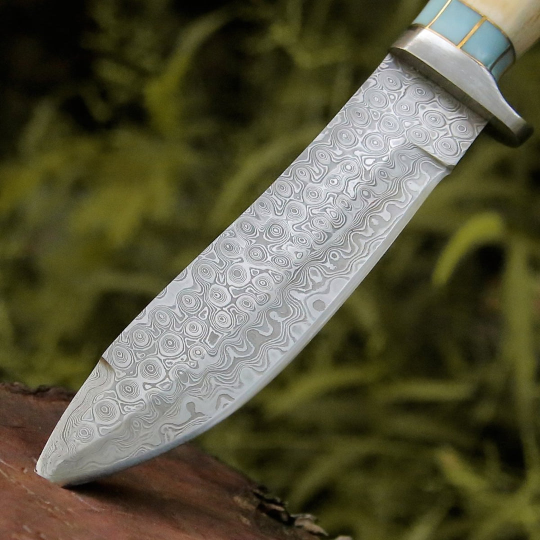 Viral Bull Nose Hunting Knife with Antler &amp; Turquoise Handle - Shokunin USA