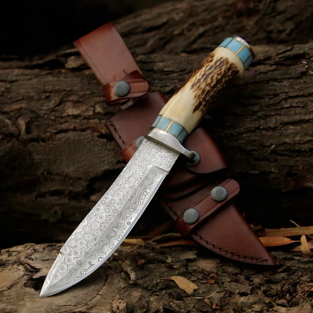 Viral Bull Nose Hunting Knife with Antler & Turquoise Handle - Shokunin USA