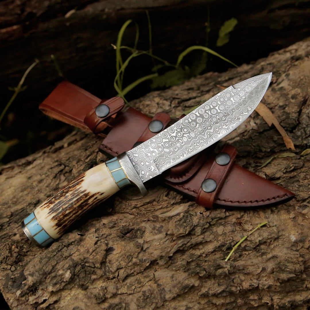 Viral Bull Nose Hunting Knife with Antler &amp; Turquoise Handle - Shokunin USA