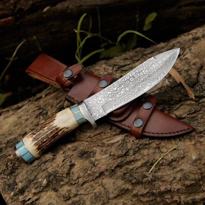 Viral Bull Nose Hunting Knife with Antler &amp; Turquoise Handle - Shokunin USA
