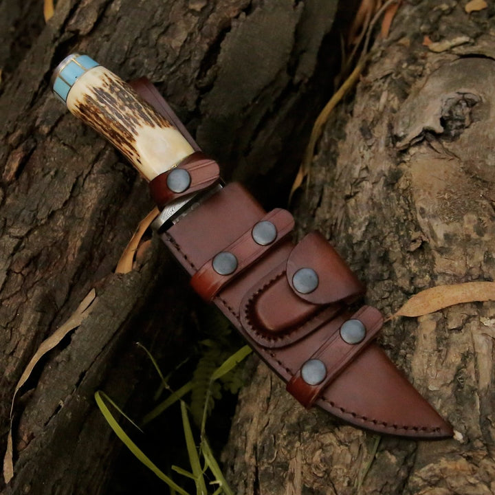 Viral Bull Nose Hunting Knife with Antler &amp; Turquoise Handle - Shokunin USA