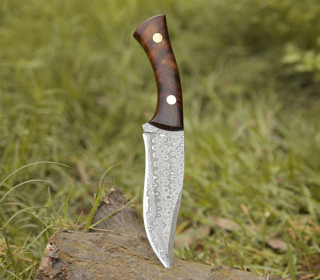 Virtue Damascus Hunting Knife Fixed Blade with Exotic Rose Wood Handle - Shokunin USA