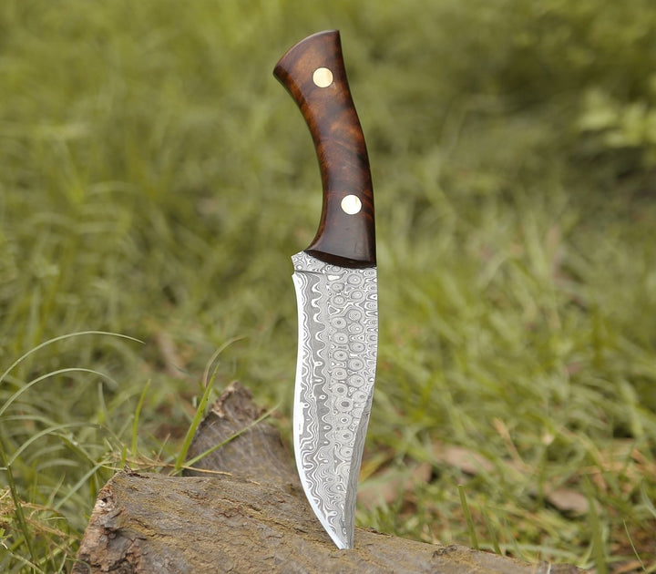 Virtue Damascus Hunting Knife Fixed Blade with Exotic Rose Wood Handle - Shokunin USA