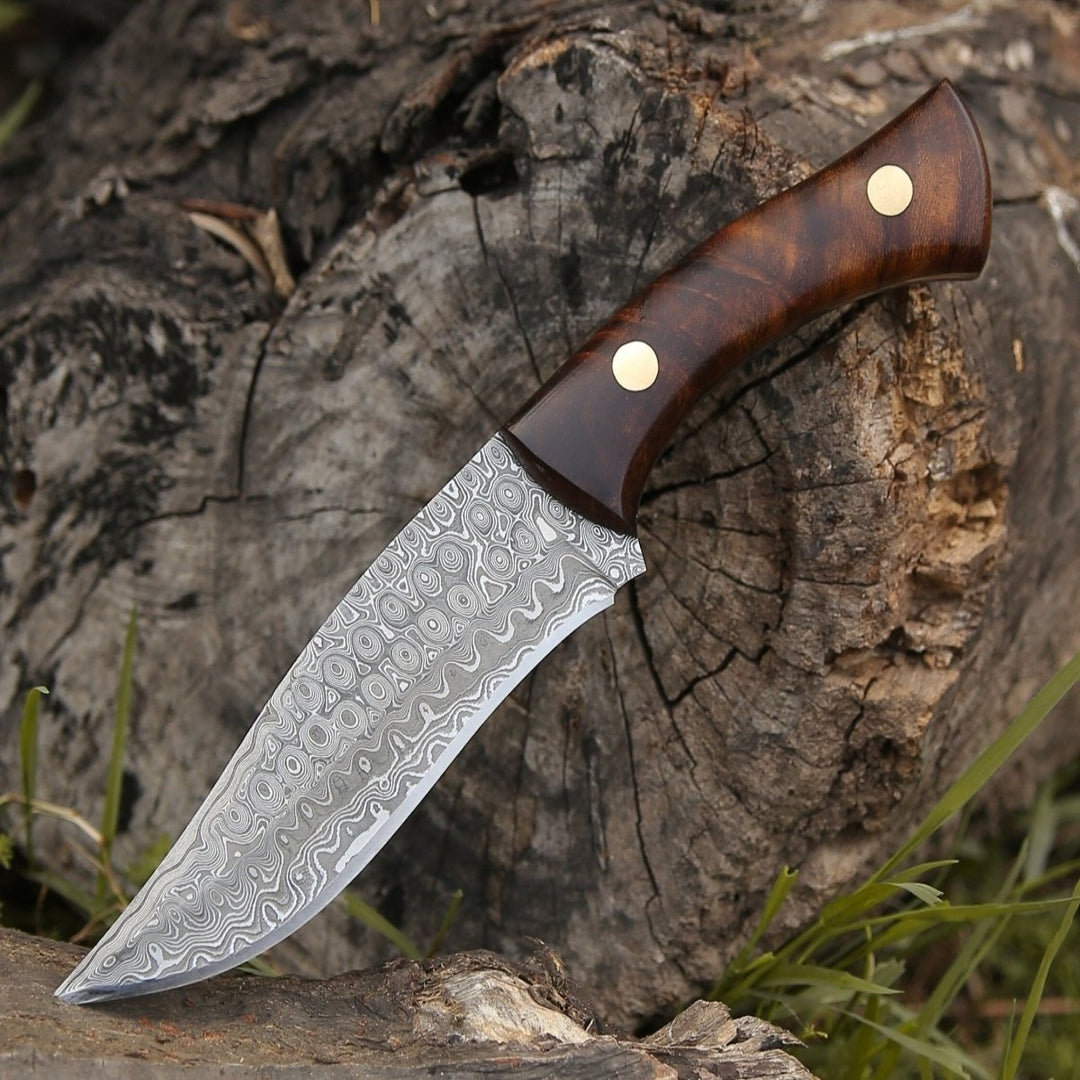 Virtue Damascus Hunting Knife Fixed Blade with Exotic Rose Wood Handle - Shokunin USA
