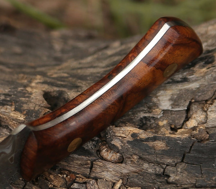 Virtue Damascus Hunting Knife Fixed Blade with Exotic Rose Wood Handle - Shokunin USA