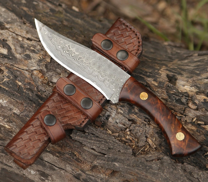 Virtue Damascus Hunting Knife Fixed Blade with Exotic Rose Wood Handle - Shokunin USA