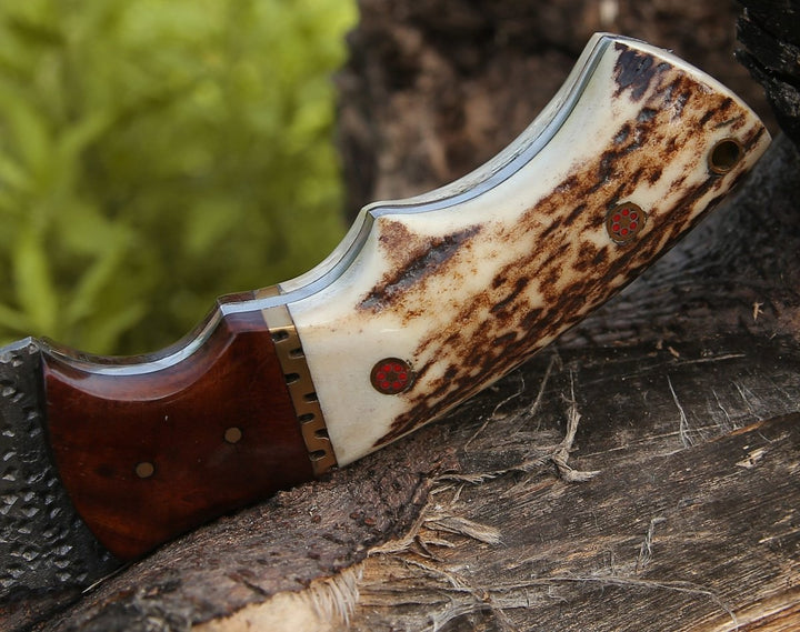 Zeus Tracker Knife with Antler &amp; Rose wood Handle - Shokunin USA