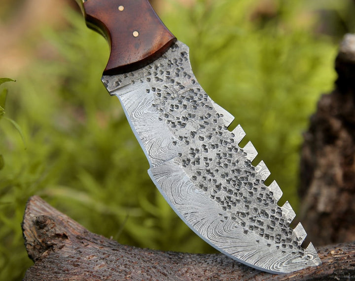 Zeus Tracker Knife with Antler &amp; Rose wood Handle - Shokunin USA
